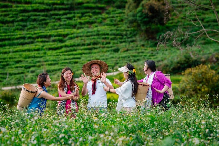 Du khách đội nón, đeo gùi chụp ảnh giữa đồi trà