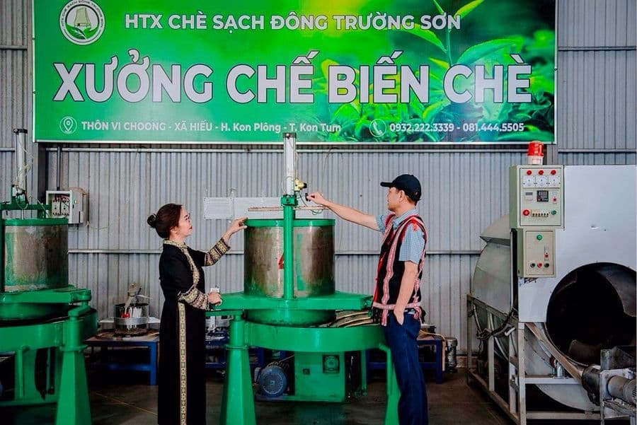 Bên trong xưởng chế biến chè của HTX Chè Sạch Đông Trường Sơn